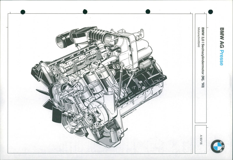 1993 BMW 3.0 ltr - Vintage Photograph