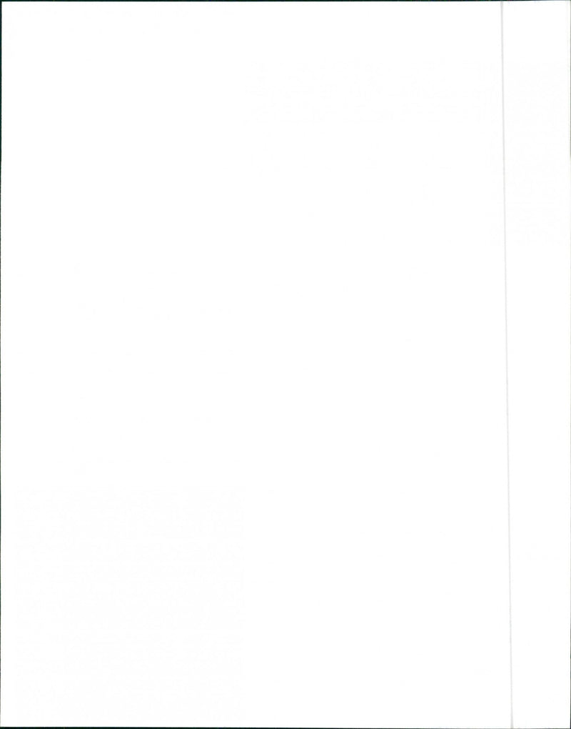 1990 Oldsmobile Cutlass Calais Quad 442 - Vintage Photograph