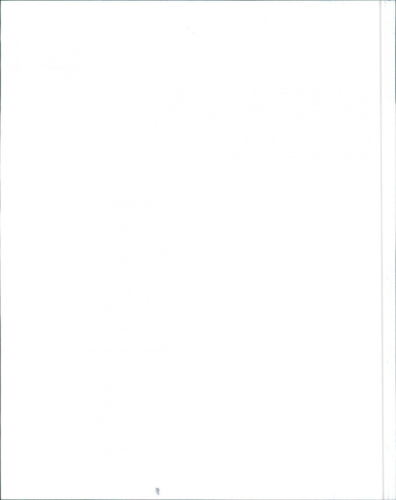 1999 Lexus ES 300 - Vintage Photograph