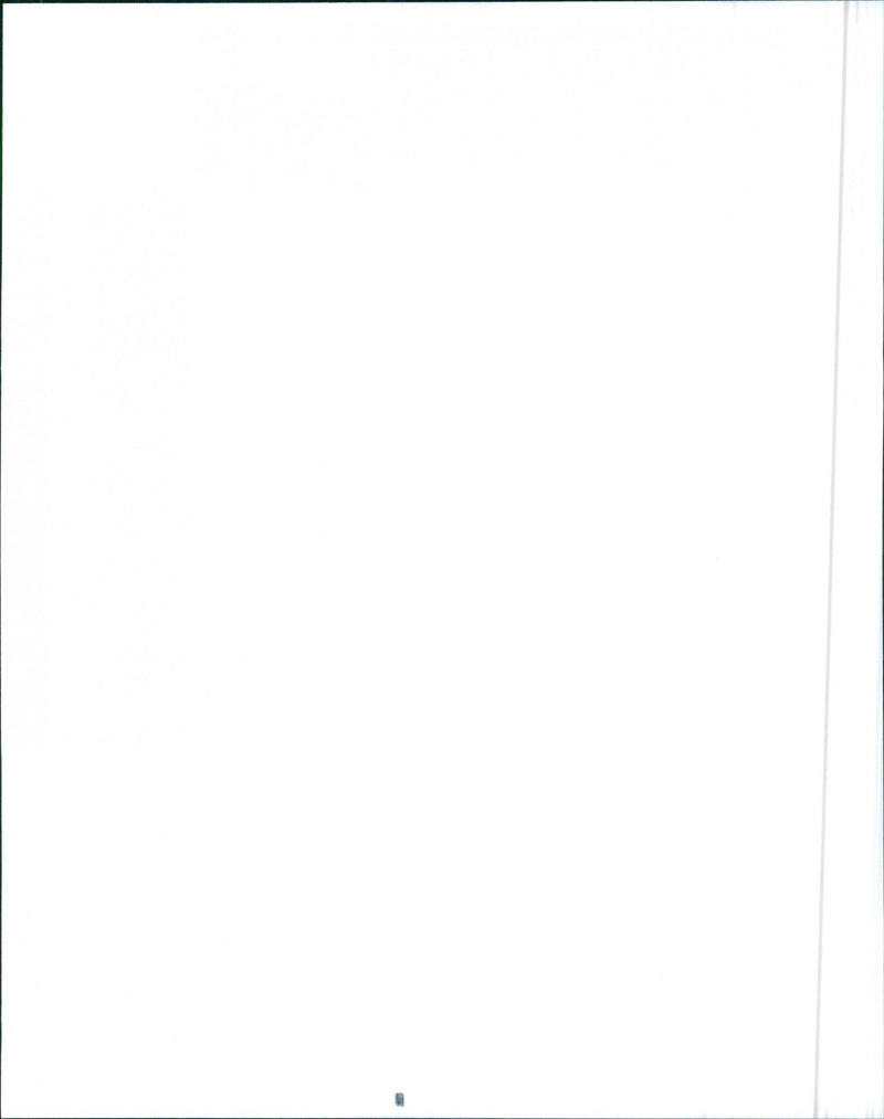 1989 Dodge Dakota - Vintage Photograph