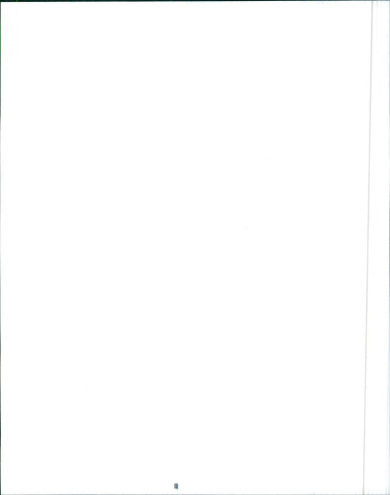 1989 Shelby CSX - Vintage Photograph