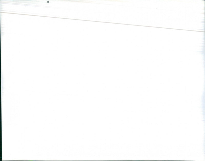 Buick's 1974 LeSabre Luxus - Vintage Photograph