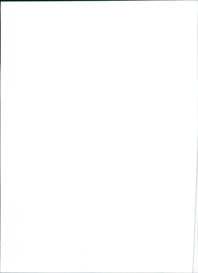 Alfa Romeo 146 - Vintage Photograph