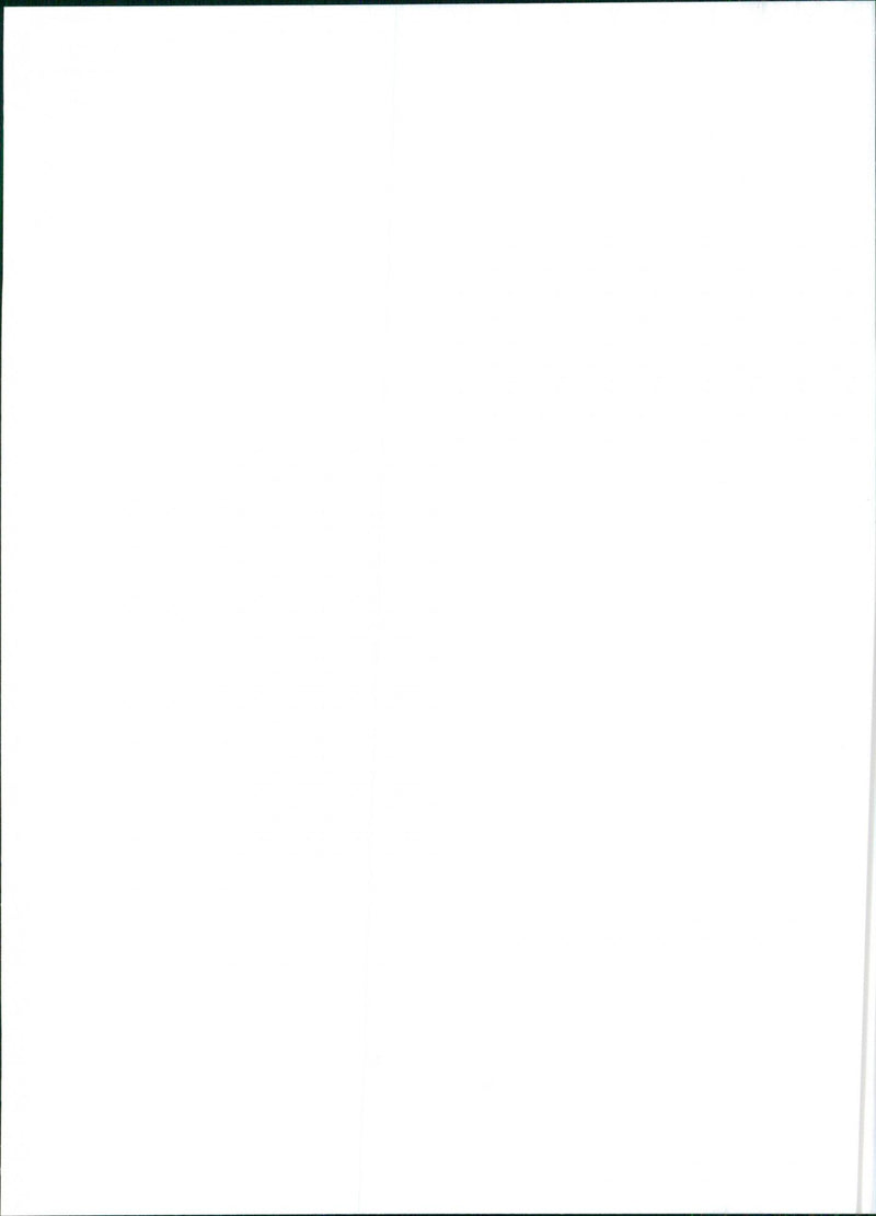 Alfa Romeo 146 - Vintage Photograph