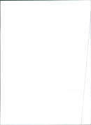 Alfa GTV 3.0 V6 24V - Vintage Photograph