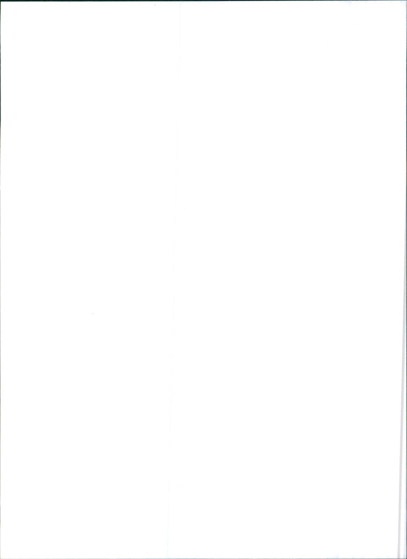 Alfa Romeo 145 - Vintage Photograph