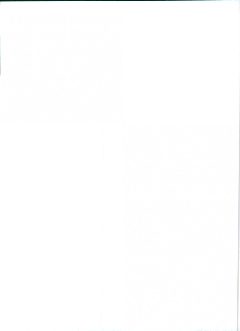 Alfa Romeo 145/146 - Vintage Photograph