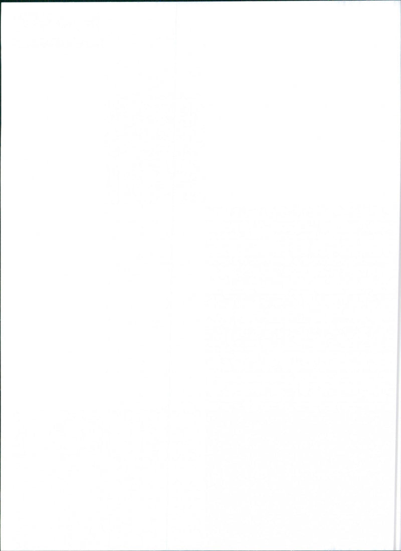 Alfa Romeo 145/146 - Vintage Photograph