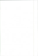 1988 Seat Malaga Injection - Vintage Photograph