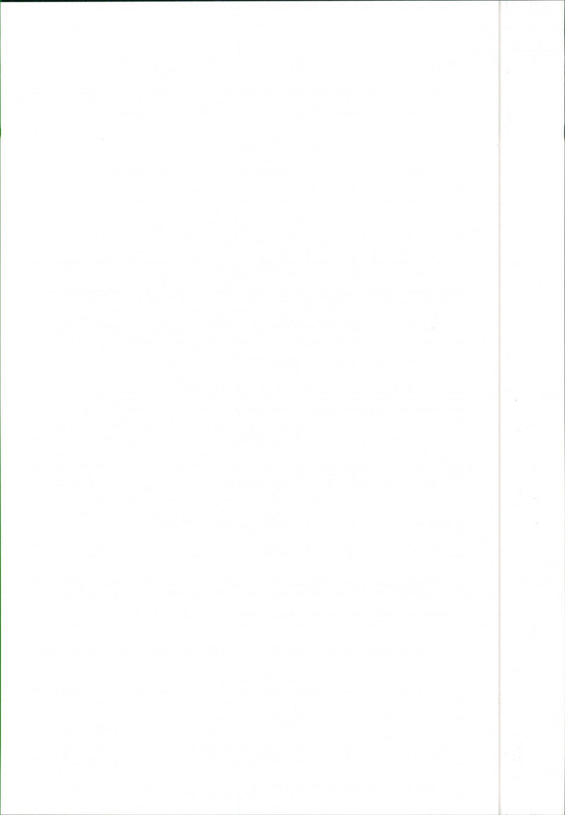 1988 Seat Malaga Injection - Vintage Photograph