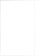 1988 Seat Malaga Injection - Vintage Photograph