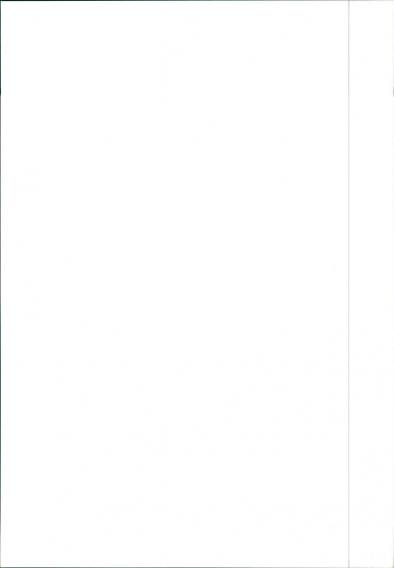 1988 Seat Malaga Injection - Vintage Photograph