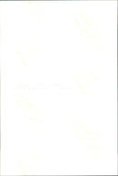 St Albans Fair - Vintage Photograph