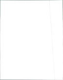 1997 Buick Park Avenue - Vintage Photograph