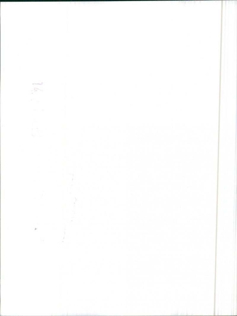 Mitsubishi Pajero - Vintage Photograph