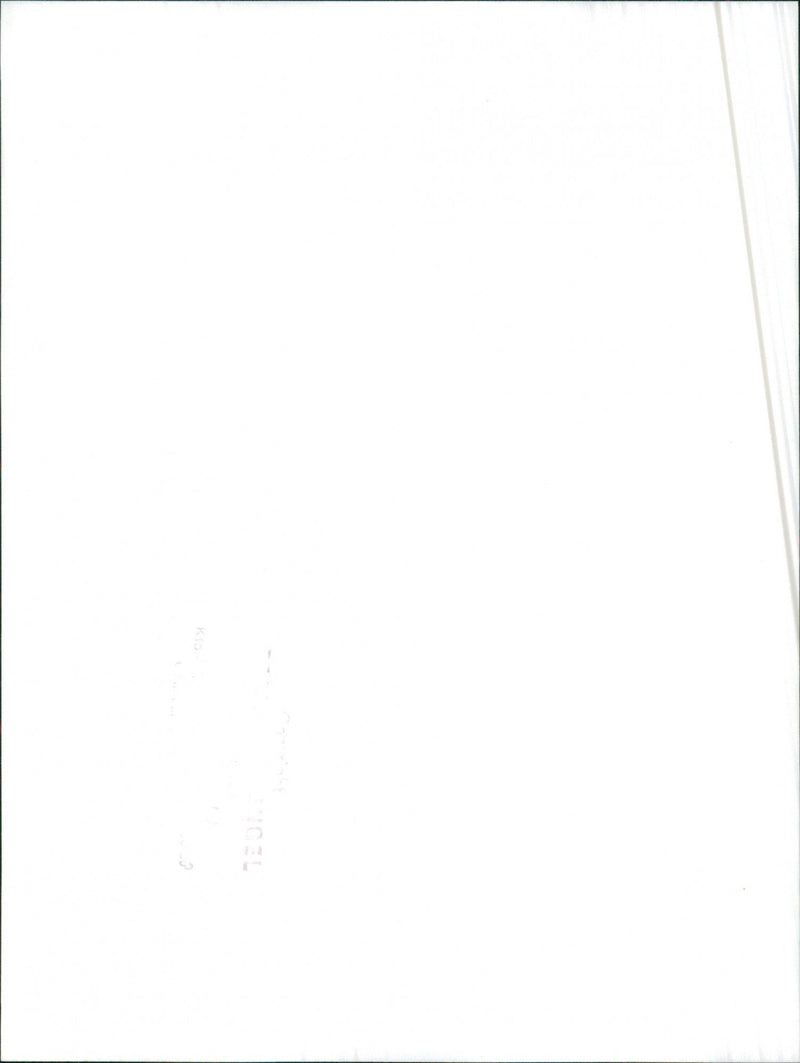 Car Engine - Vintage Photograph