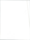 Isuzu Trooper - Vintage Photograph