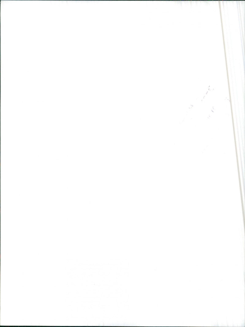 Isuzu Trooper - Vintage Photograph