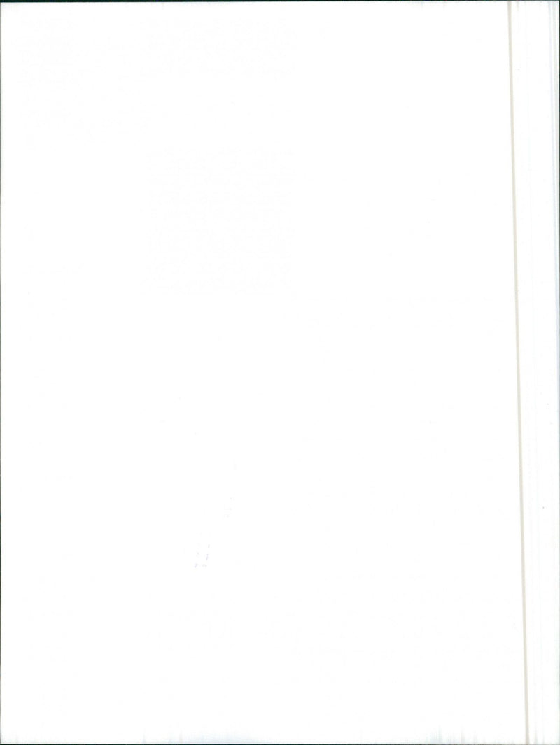 Isuzu Trooper and Mitsubishi Trooper - Vintage Photograph