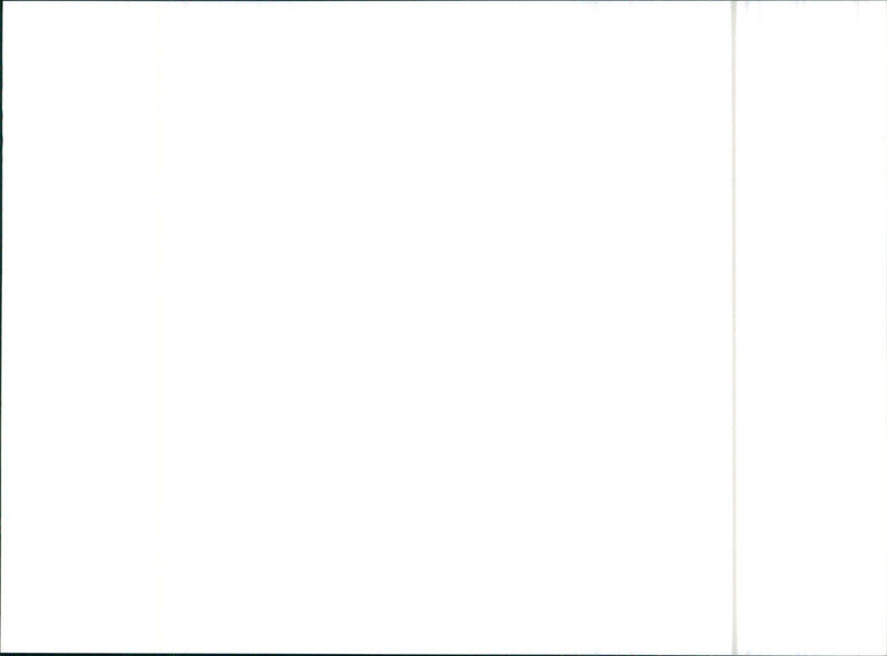 1987 Toyota AXV-II - Vintage Photograph