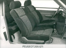 Peugeot 205 GTI - Vintage Photograph