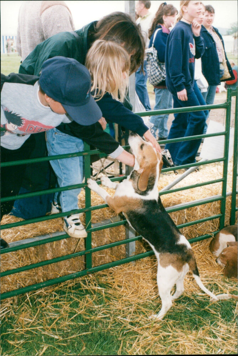 SCOP POPUTH CERRA - Vintage Photograph