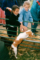 SCOP POPUTH CERRA - Vintage Photograph