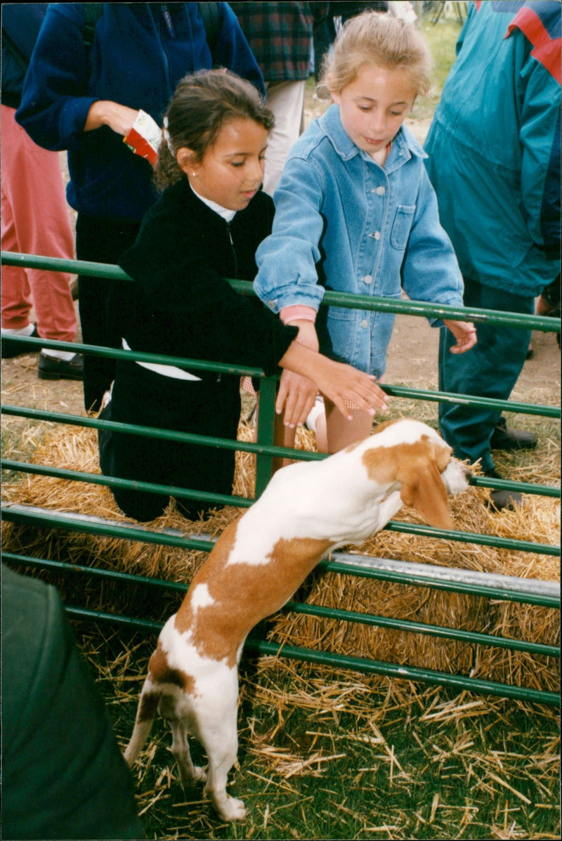 SCOP POPUTH CERRA - Vintage Photograph