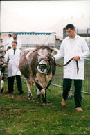 SCOP POPUTH CERRA - Vintage Photograph