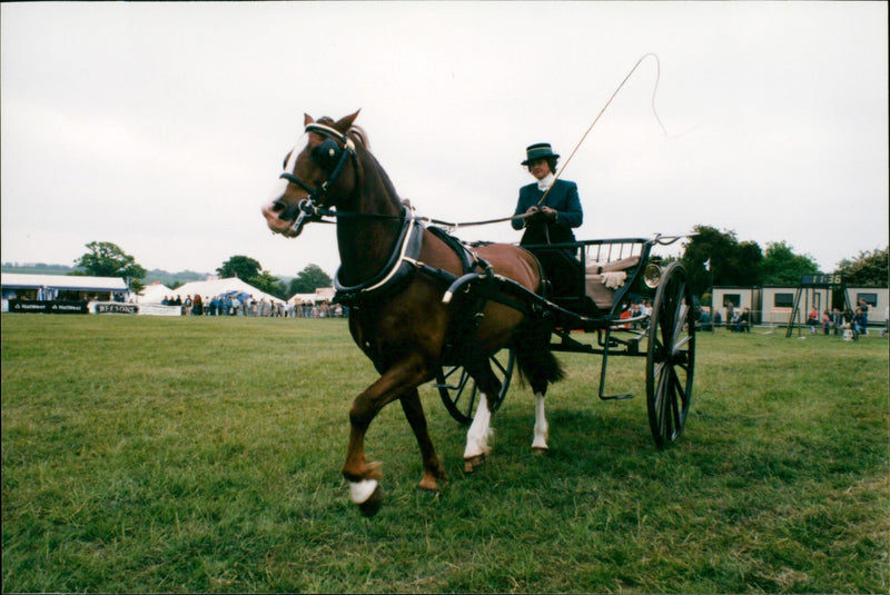 SCOP POPUTH CERRA - Vintage Photograph