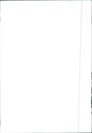 1978 Volkswagen Derby / Polo - Vintage Photograph