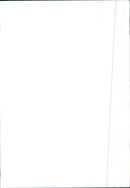 1978 Volkswagen Passat - Vintage Photograph