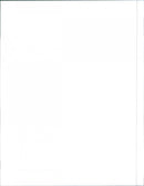 1999 Isuzu Rodeo - Vintage Photograph