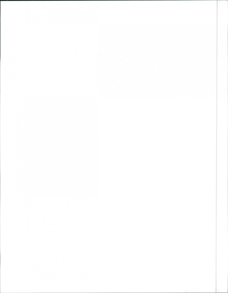 1999 Isuzu Rodeo - Vintage Photograph