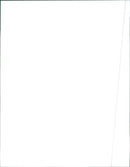 1999 Isuzu Oasis - Vintage Photograph