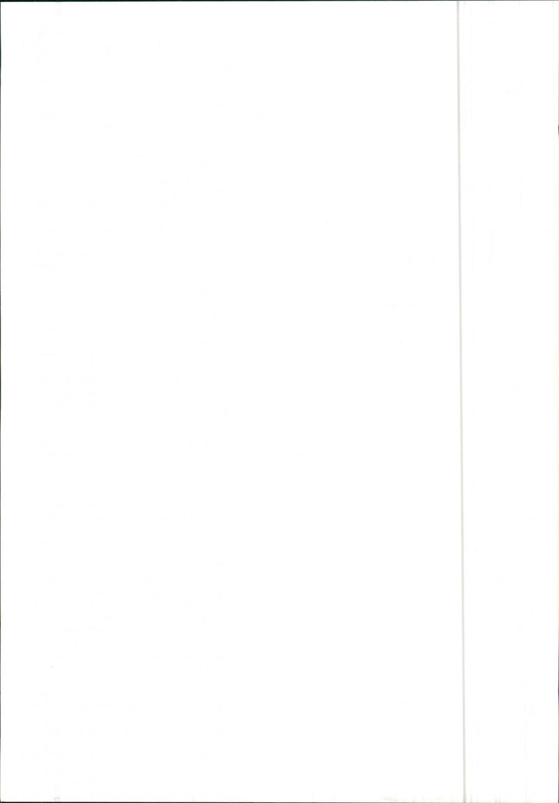 Alfa Romeo Alfa 6 injection - Vintage Photograph