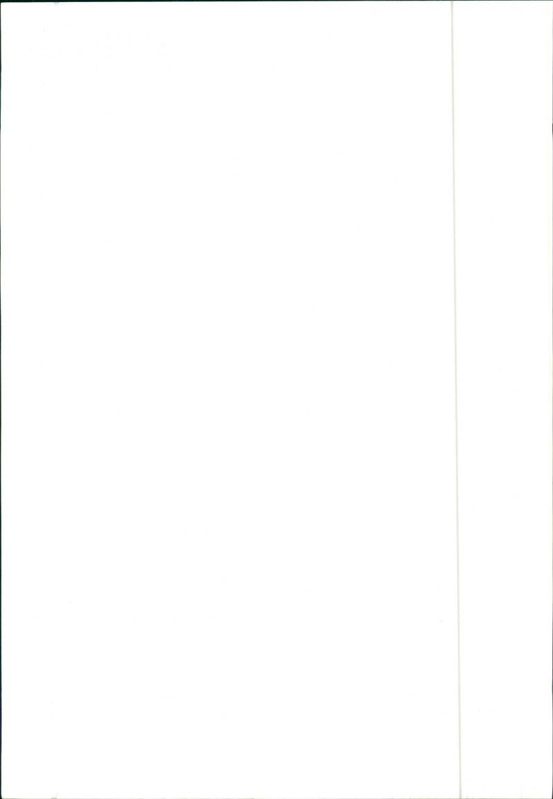 Alfa Romeo Alfa 6 injection - Vintage Photograph