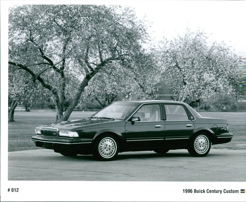 1996 Buick Century Custom - Vintage Photograph