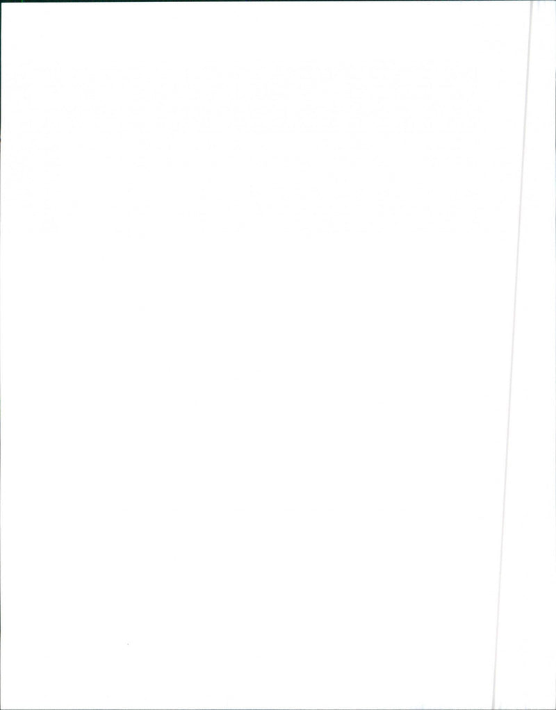 1999 Isuzu Hombre Spacecab - Vintage Photograph