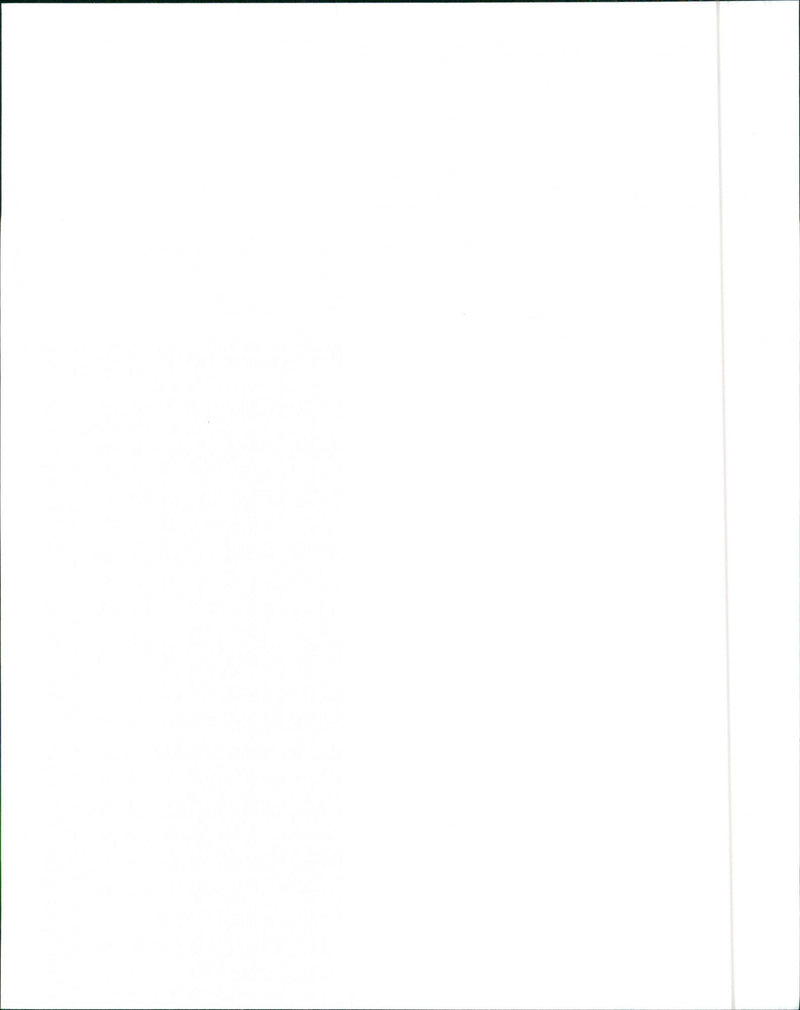 1999 Audi A6 Avant - Vintage Photograph