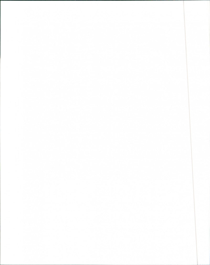 Audi A4-A6 (2.8 Engine) - Vintage Photograph