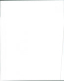 1999 Volkswagen New Beetle 1.8T - Vintage Photograph