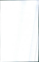 Renault Fuego - Vintage Photograph