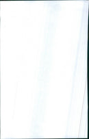 Renault Fuego - Vintage Photograph