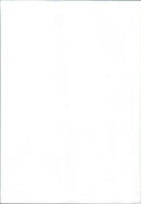 Renault 11 - Vintage Photograph