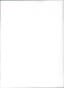 1984 Renault 5 TSE - Vintage Photograph