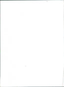 1970/71 Peugeot 504 Coupe - Vintage Photograph