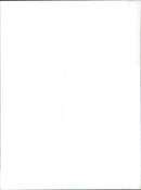 1970/71 Peugeot 504 Cabriolet - Vintage Photograph