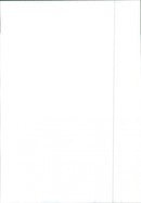 Renault Espace 2000 TSE - Vintage Photograph