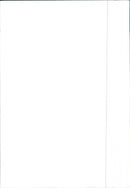 Renault Espace - Vintage Photograph